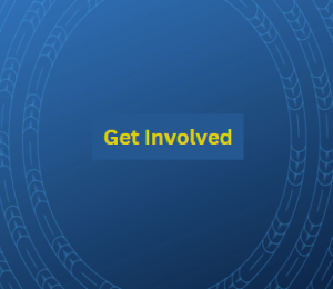 Get Involved